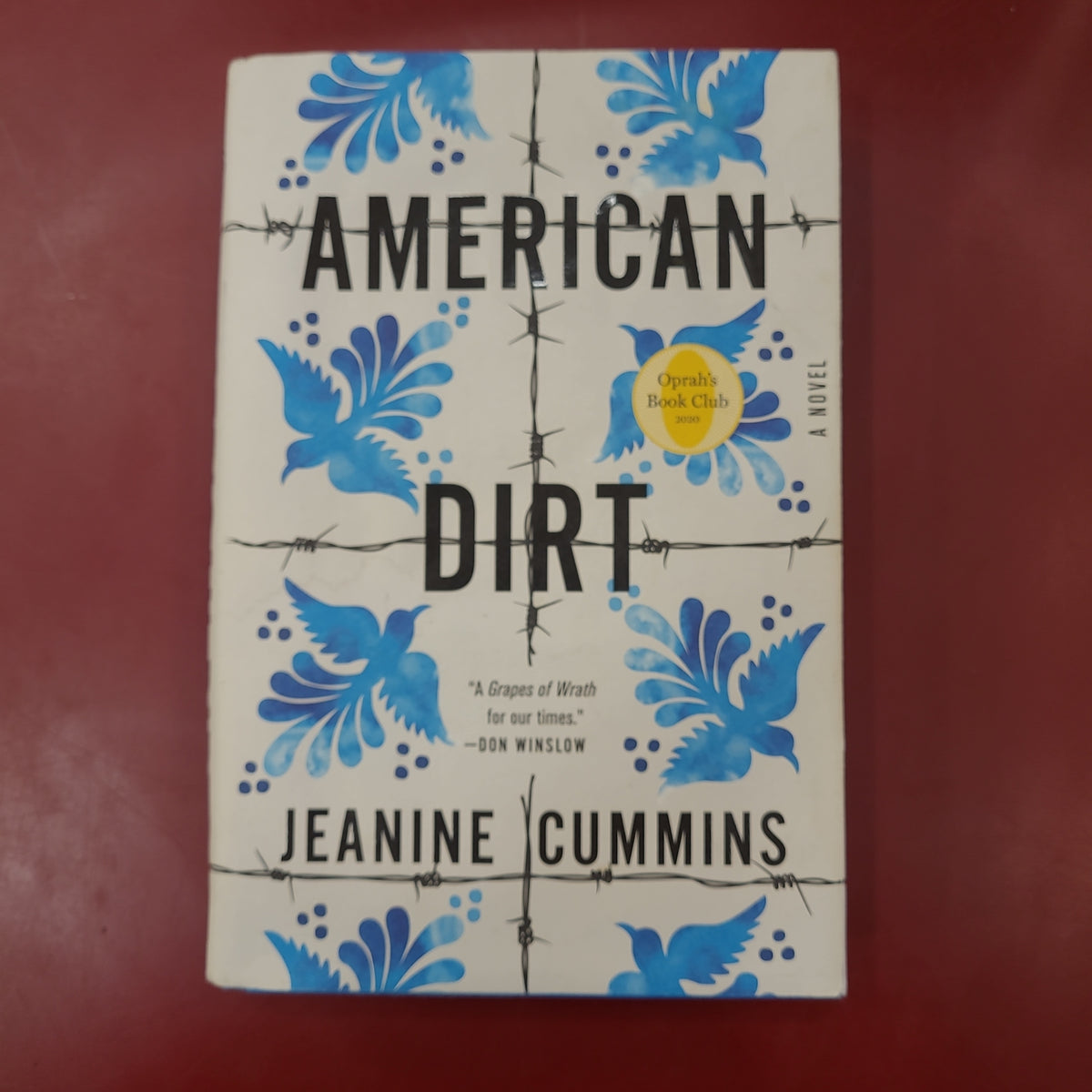AMERICAN DIRT OPRAH BOOK CLUB ANOVEL JEANINE CUMMINS visual data 6