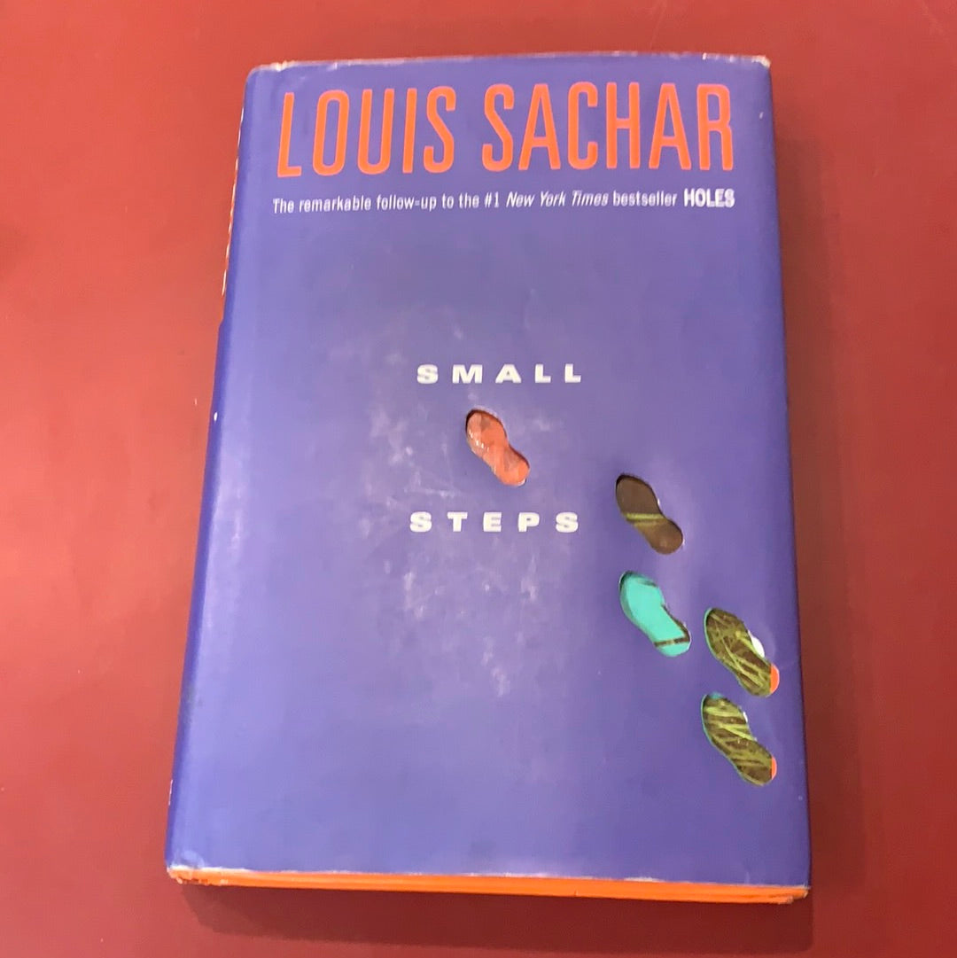 Small Steps - Louis Sachar – The Corner Stone Bookshop