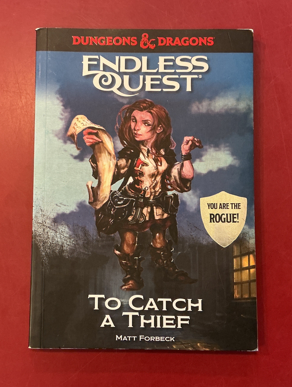 To Catch a Thief (Dungeons & Dragons: Endless Quest) - Matt Forbeck