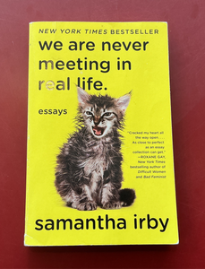 We Are Never Meeting in Real Life - Samantha Irby