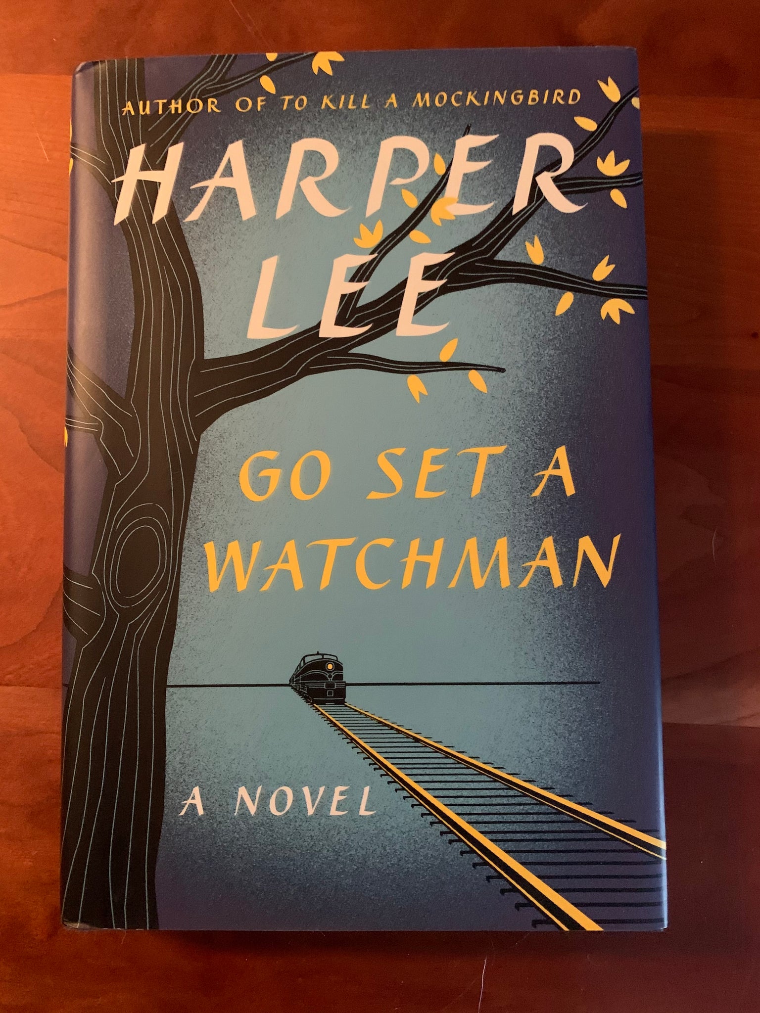Go Set a Watchman: A Novel